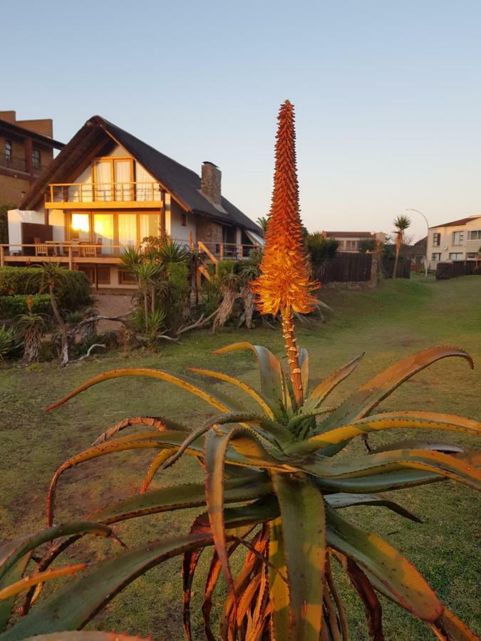 Dreamland House & At Supertubes Apartment Jeffreys Bay
